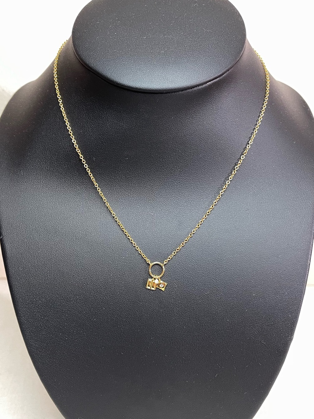 Freida Rothman Child’s Delicate Sterling Silver Mini Charm Necklace